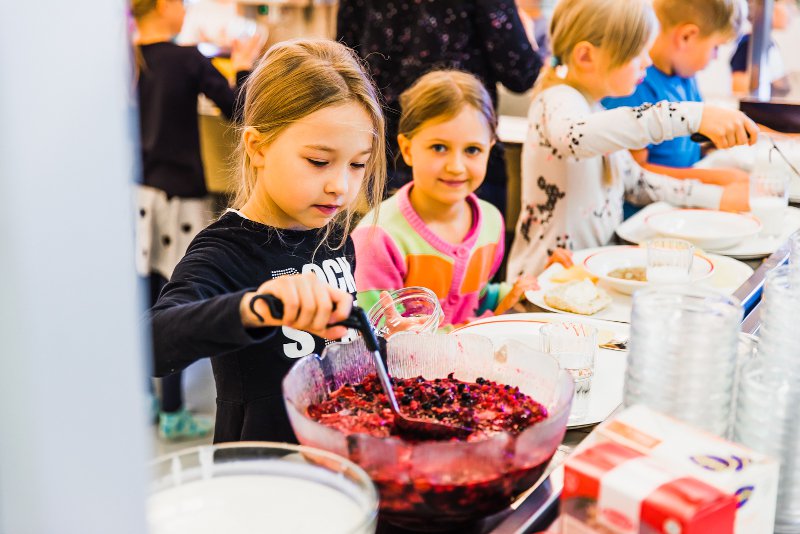 Attractive serving of plant-based food in Finnland