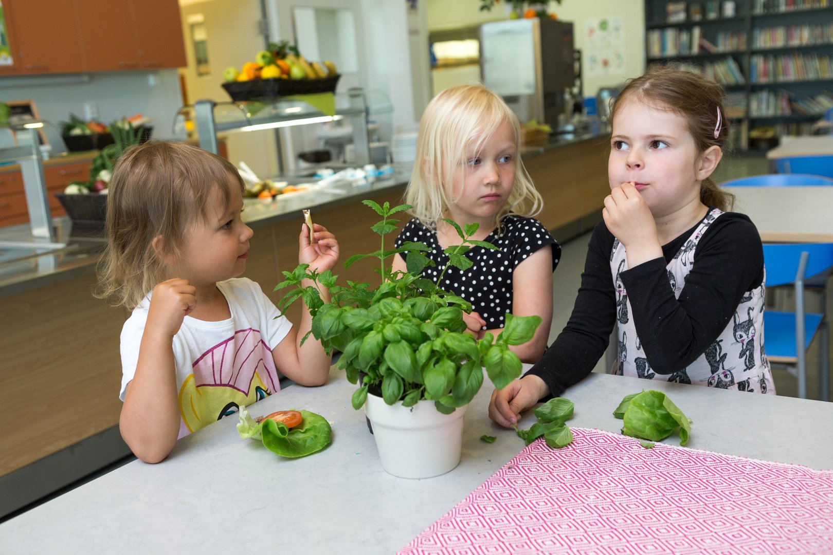 Sensory Food Education for Children