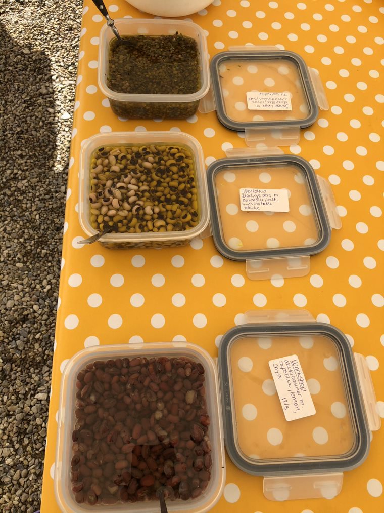 Different kind of pulses in marinade