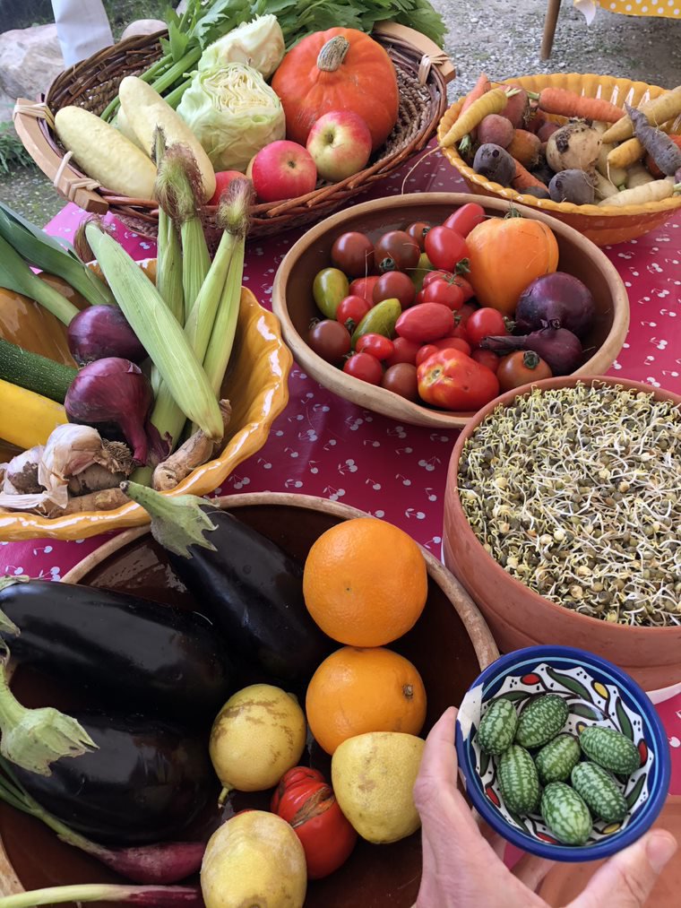 Vegetables for cooking training